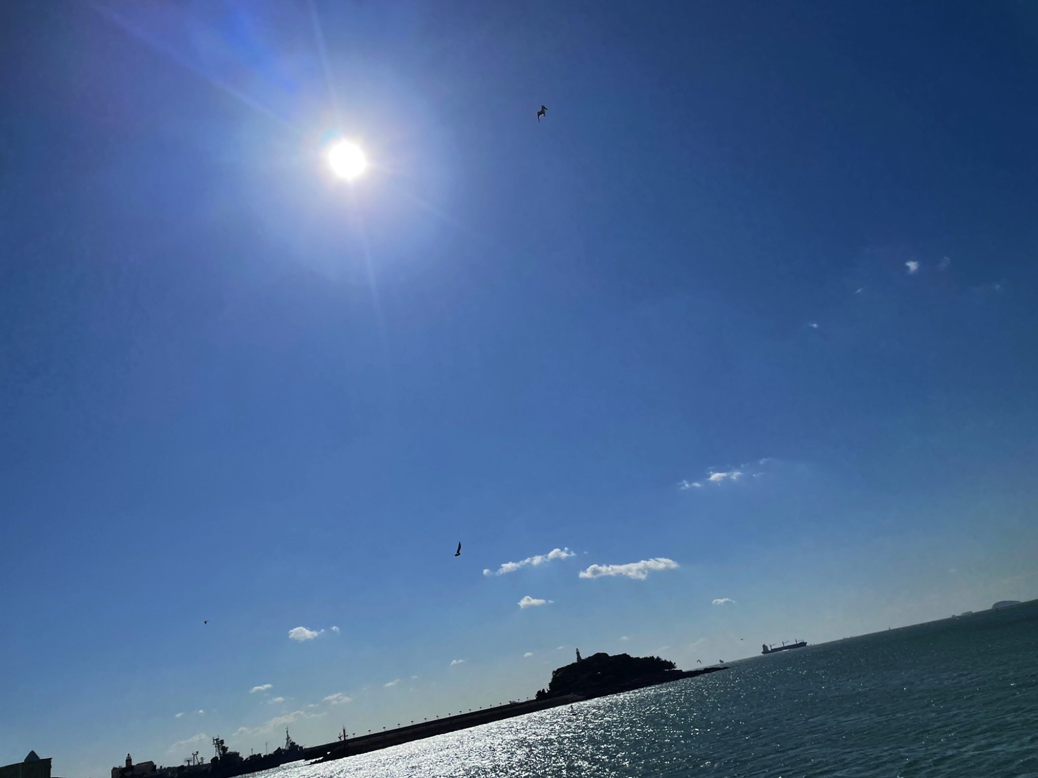 青岛湾景观区旅行图片