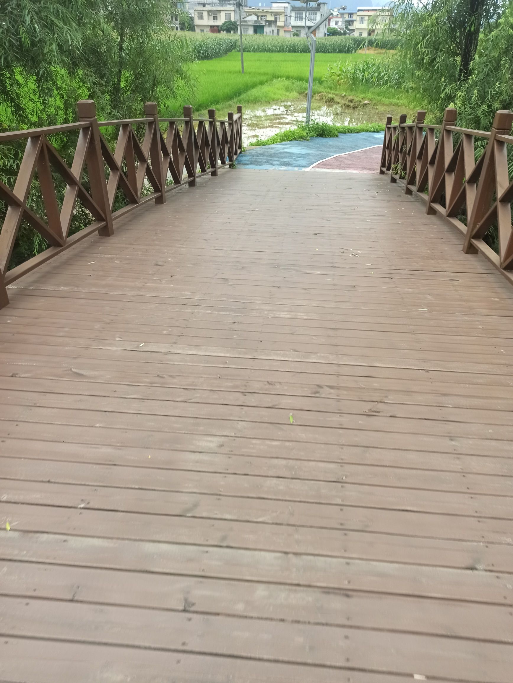 海菜花观赏基地旅行图片 2